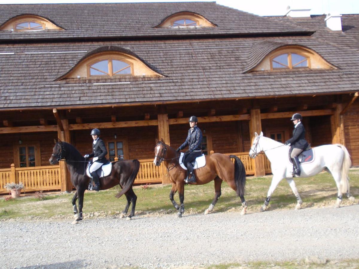 Karczma Regionalna Hotel Goscinna Chata Wysowa-Zdrój Extérieur photo